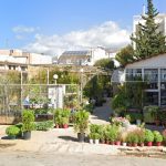 ΦΥΤΩΡΙΟ-ΚΑΡΥΣΤΟΣ-ΜΠΑΓΙΑΤΗΣ-ΙΩΑΝΝΗΣ