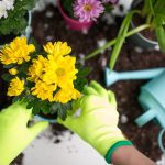 ΦΥΤΩΡΙΟ-ΚΑΡΥΣΤΟΣ-ΜΠΑΓΙΑΤΗΣ-ΙΩΑΝΝΗΣ
