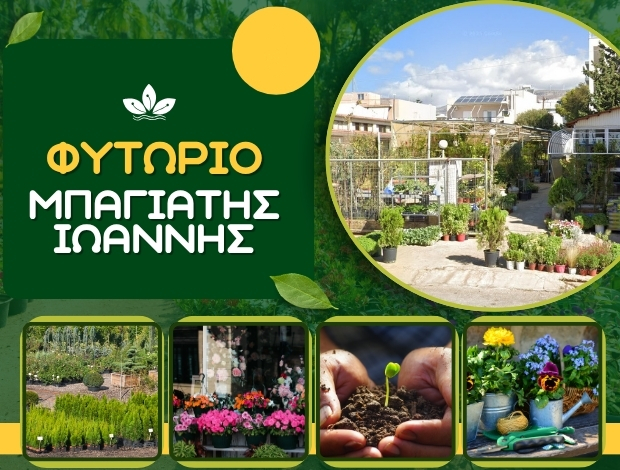 ΦΥΤΩΡΙΟ ΚΑΡΥΣΤΟΣ ΜΠΑΓΙΑΤΗΣ ΙΩΑΝΝΗΣ