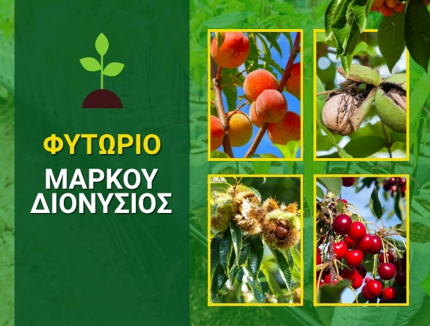 ΦΥΤΩΡΙΟ ΚΕΡΑΣΙΕΣ ΠΕΛΛΑΣ ΜΑΡΚΟΥ ΔΙΟΝΥΣΙΟΣ