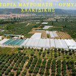 ΦΥΤΩΡΙΟ-ΟΡΜΥΛΙΑ-ΧΑΛΚΙΔΙΚΗΣ-ΦΥΤΩΡΙΑ-ΜΑΥΡΟΜΑΤΗ