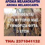 ΦΥΤΩΡΙΟ-ΟΡΜΥΛΙΑ-ΧΑΛΚΙΔΙΚΗΣ-ΦΥΤΩΡΙΑ-ΜΑΥΡΟΜΑΤΗ