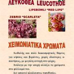 ΦΥΤΩΡΙΟ-ΟΡΜΥΛΙΑ-ΧΑΛΚΙΔΙΚΗΣ-ΦΥΤΩΡΙΑ-ΜΑΥΡΟΜΑΤΗ