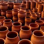 ΦΥΤΩΡΙΟ-ΡΕΘΥΜΝΟ-CRETA-PLANTS-ΣΤΑΓΑΚΗΣ