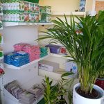 ΦΥΤΩΡΙΟ-ΡΕΘΥΜΝΟ-CRETA-PLANTS-ΣΤΑΓΑΚΗΣ