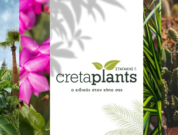 ΦΥΤΩΡΙΟ ΡΕΘΥΜΝΟ “CRETA PLANTS” ΣΤΑΓΑΚΗΣ ΓΕΩΡΓΙΟΣ