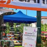 ΦΥΤΩΡΙΟ-ΣΑΛΑΜΙΝΑ-ΚΕΝΤΡΟ-ΚΗΠΟΥ-ΠΑΡΑΔΕΙΣΟΣ