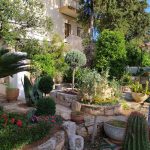 ΦΥΤΩΡΙΟ-ΣΑΛΑΜΙΝΑ-ΚΕΝΤΡΟ-ΚΗΠΟΥ-ΠΑΡΑΔΕΙΣΟΣ