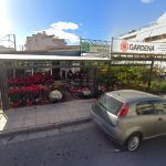 ΦΥΤΩΡΙΟ-ΣΑΛΑΜΙΝΑ-ΚΕΝΤΡΟ-ΚΗΠΟΥ-ΠΑΡΑΔΕΙΣΟΣ