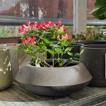 ΦΥΤΩΡΙΟ-ΤΗΝΟΣ-ΚΟΝΤΙΖΑΣ-GARDEN-SHOP