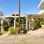 ΦΥΤΩΡΙΟ-ΤΗΝΟΣ-ΚΟΝΤΙΖΑΣ-GARDEN-SHOP