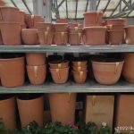 ΦΥΤΩΡΙΟ-ΤΗΝΟΣ-ΚΟΝΤΙΖΑΣ-GARDEN-SHOP