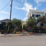 ΦΥΤΩΡΙΟ-ΤΗΝΟΣ-ΚΟΝΤΙΖΑΣ-GARDEN-SHOP