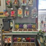 ΦΥΤΩΡΙΟ-ΤΗΝΟΣ-ΚΟΝΤΙΖΑΣ-GARDEN-SHOP