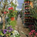 ΦΥΤΩΡΙΟ-ΤΗΝΟΣ-ΚΟΝΤΙΖΑΣ-GARDEN-SHOP