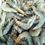 ΙΧΘΥΟΠΩΛΕΙΟ-ΕΥΚΑΡΠΙΑ-ΘΕΣΣΑΛΟΝΙΚΗΣ-ΕΝ-ΠΛΩ