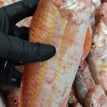 ΙΧΘΥΟΠΩΛΕΙΟ-ΕΥΚΑΡΠΙΑ-ΘΕΣΣΑΛΟΝΙΚΗΣ-ΕΝ-ΠΛΩ