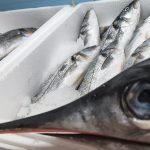 ΙΧΘΥΟΠΩΛΕΙΟ-ΕΥΚΑΡΠΙΑ-ΘΕΣΣΑΛΟΝΙΚΗΣ-ΕΝ-ΠΛΩ