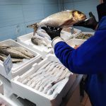 ΙΧΘΥΟΠΩΛΕΙΟ-ΕΥΚΑΡΠΙΑ-ΘΕΣΣΑΛΟΝΙΚΗΣ-ΕΝ-ΠΛΩ