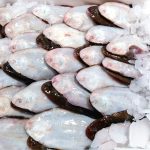 ΙΧΘΥΟΠΩΛΕΙΟ-ΕΥΚΑΡΠΙΑ-ΘΕΣΣΑΛΟΝΙΚΗΣ-ΕΝ-ΠΛΩ