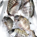 ΙΧΘΥΟΠΩΛΕΙΟ-ΕΥΚΑΡΠΙΑ-ΘΕΣΣΑΛΟΝΙΚΗΣ-ΕΝ-ΠΛΩ