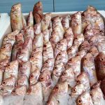 ΙΧΘΥΟΠΩΛΕΙΟ-ΕΥΚΑΡΠΙΑ-ΘΕΣΣΑΛΟΝΙΚΗΣ-ΕΝ-ΠΛΩ