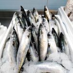 ΙΧΘΥΟΠΩΛΕΙΟ-ΕΥΚΑΡΠΙΑ-ΘΕΣΣΑΛΟΝΙΚΗΣ-ΕΝ-ΠΛΩ