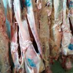 ΚΡΕΟΠΩΛΕΙΟ-ΙΕΡΙΣΣΟΣ-ΧΑΛΚΙΔΙΚΗΣ-ΚΑΡΑΒΑΣΙΛΗΣ