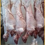 ΚΡΕΟΠΩΛΕΙΟ-ΠΡΕΒΕΖΑ-Η-ΩΡΑΙΑ-ΚΡΑΝΙΑ-ΛΑΜΠΡΟΣ