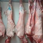 ΚΡΕΟΠΩΛΕΙΟ-ΠΡΕΒΕΖΑ-Η-ΩΡΑΙΑ-ΚΡΑΝΙΑ-ΛΑΜΠΡΟΣ