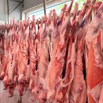 ΚΡΕΟΠΩΛΕΙΟ-ΞΑΝΘΗ-ΤΟ-ΠΑΡΚΟ-ΤΗΣ-ΜΕΞΙΚΑΝΑΣ