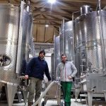 ΟΙΝΟΠΟΙΕΙΟ-ΤΡΙΠΟΛΗ-TROUPIS-WINERY