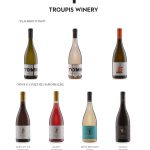ΟΙΝΟΠΟΙΕΙΟ-ΤΡΙΠΟΛΗ-TROUPIS-WINERY