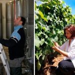 ΟΙΝΟΠΟΙΕΙΟ-ΤΡΙΠΟΛΗ-TROUPIS-WINERY