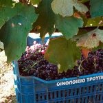 ΟΙΝΟΠΟΙΕΙΟ-ΤΡΙΠΟΛΗ-TROUPIS-WINERY