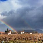 ΟΙΝΟΠΟΙΕΙΟ-ΤΡΙΠΟΛΗ-TROUPIS-WINERY