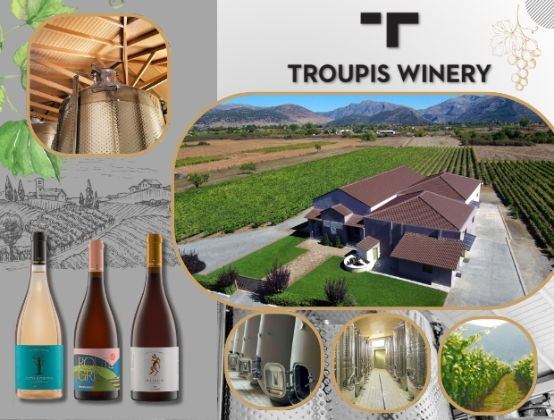 ΟΙΝΟΠΟΙΕΙΟ ΤΡΙΠΟΛΗ “TROUPIS WINERY” ΑΦΟΙ ΤΡΟΥΠΗ ΟΕ