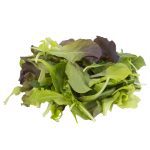 ΟΠΩΡΟΚΗΠΕΥΤΙΚΑ-ΡΕΝΤΗΣ-SALAD-FRESH-ΦΑΦΟΥΤΗΣ