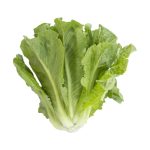 ΟΠΩΡΟΚΗΠΕΥΤΙΚΑ-ΡΕΝΤΗΣ-SALAD-FRESH-ΦΑΦΟΥΤΗΣ