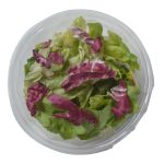 ΟΠΩΡΟΚΗΠΕΥΤΙΚΑ-ΡΕΝΤΗΣ-SALAD-FRESH-ΦΑΦΟΥΤΗΣ