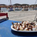 ΟΥΖΕΡΙ-ΛΕΙΨΟΙ-ΑΣΠΡΑΚΗΣ-ΓΙΑΚΟΥΜΑΚΗΣ