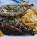 ΨΑΡΟΤΑΒΕΡΝΑ-ΚΑΝΤΟΥΝΙ-ΚΑΛΥΜΝΟΣ-ΨΥΡΗΣ