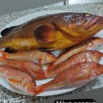 ΨΑΡΟΤΑΒΕΡΝΑ-ΚΕΦΑΛΟΣ-ΚΩΣ-ΚΑΤΕΡΙΝΑ-ΦΟΥΡΤΟΥΝΗΣ