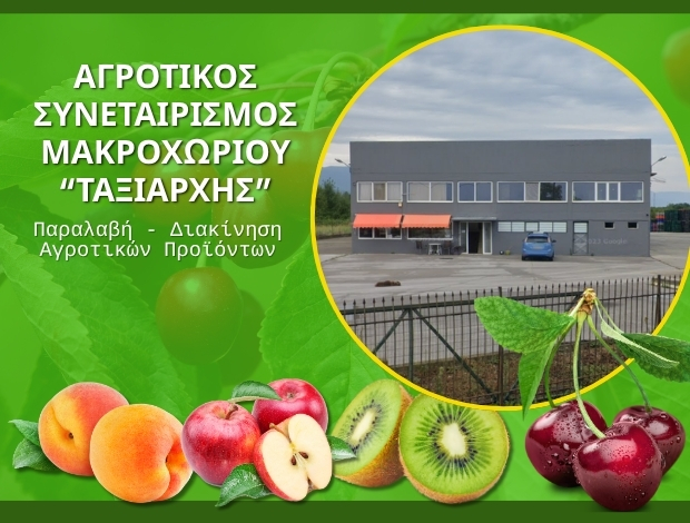 ΑΓΡΟΤΙΚΟΣ ΣΥΝΕΤΑΙΡΙΣΜΟΣ ΜΑΚΡΟΧΩΡΙΟΥ ΗΜΑΘΙΑΣ ΤΑΞΙΑΡΧΗΣ