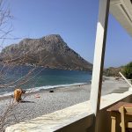 ΕΣΤΙΑΤΟΡΙΟ-ΜΥΡΤΙΕΣ-ΚΑΛΥΜΝΟΣ-ΜΥΡΤΙΕΣ-ΣΤΑΛΑ