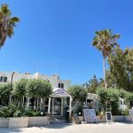 ΕΣΤΙΑΤΟΡΙΟ-ΤΙΓΚΑΚΙ-ΚΩΣ-ΑΛΥΚΕΣ-ΠΑΠΑΓΓΕΛΗΣ