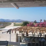 ΕΣΤΙΑΤΟΡΙΟ-ΤΙΓΚΑΚΙ-ΚΩΣ-ΑΛΥΚΕΣ-ΠΑΠΑΓΓΕΛΗΣ