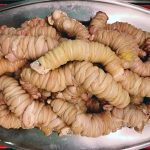 ΚΡΕΟΠΩΛΕΙΟ-ΝΑΞΟΣ-ΜΠΕΗΣ-ΣΙΔΕΡΗΣ-ΓΕΩΡΓΙΟΣ