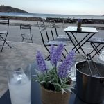 ΜΕΖΕΔΟΠΩΛΕΙΟ-ΚΟΡΘΙ-ΑΝΔΡΟΣ-ΖΑΧΑΡΗ-ΚΑΙ-ΑΛΑΤΙ