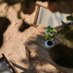 ΜΕΖΕΔΟΠΩΛΕΙΟ-ΛΙΜΕΝΑΣ-ΘΑΣΟΥ-ΦΤΑΠΟΔΙ